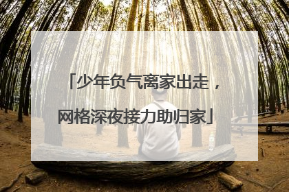 少年负气离家出走，网格深夜接力助归家