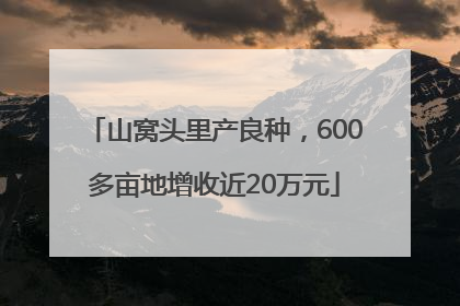 山窝头里产良种，600多亩地增收近20万元