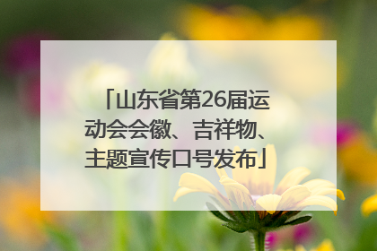 山东省第26届运动会会徽、吉祥物、主题宣传口号发布