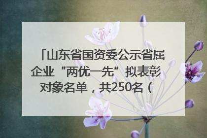 山东省国资委公示省属企业“两优一先”拟表彰对象名单，共250名（个）党员和党组织