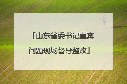 山东省委书记直奔问题现场督导整改