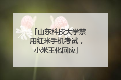 山东科技大学禁用红米手机考试，小米王化回应