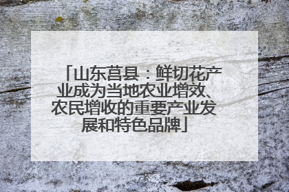 山东莒县：鲜切花产业成为当地农业增效、农民增收的重要产业发展和特色品牌