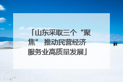山东采取三个“聚焦” 推动民营经济服务业高质量发展
