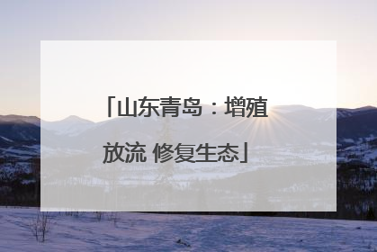 山东青岛：增殖放流 修复生态