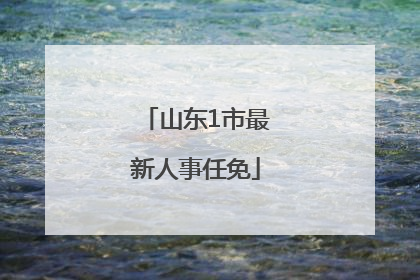 山东1市最新人事任免