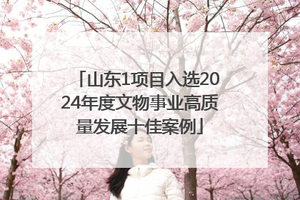山东1项目入选2024年度文物事业高质量发展十佳案例