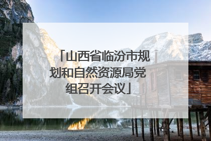 山西省临汾市规划和自然资源局党组召开会议