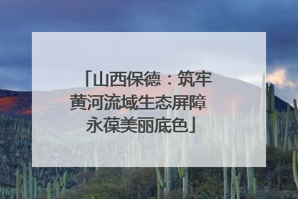 山西保德：筑牢黄河流域生态屏障 永葆美丽底色