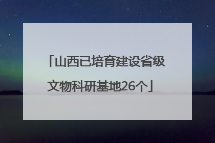 山西已培育建设省级文物科研基地26个
