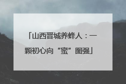 山西晋城养蜂人：一颗初心向“蜜”图强