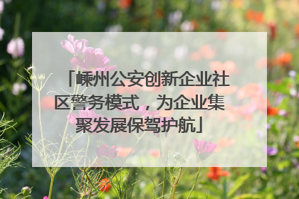 嵊州公安创新企业社区警务模式，为企业集聚发展保驾护航