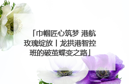 巾帼匠心筑梦 港航玫瑰绽放丨龙拱港智控班的破茧蝶变之路