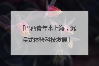 巴西青年来上海，沉浸式体验科技发展