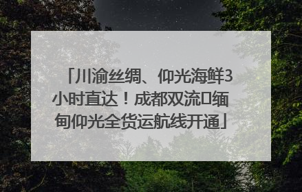 川渝丝绸、仰光海鲜3小时直达！成都双流⇌缅甸仰光全货运航线开通