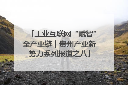 工业互联网“赋智”全产业链｜贵州产业新势力系列报道之八