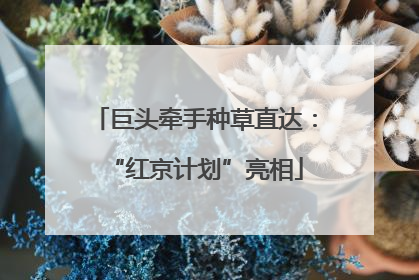 巨头牵手种草直达：“红京计划”亮相