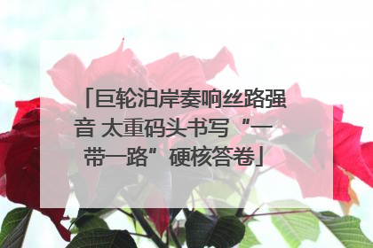 巨轮泊岸奏响丝路强音 太重码头书写“一带一路”硬核答卷