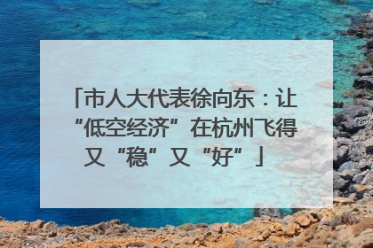 市人大代表徐向东：让“低空经济”在杭州飞得又“稳”又“好”