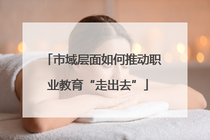 市域层面如何推动职业教育“走出去”