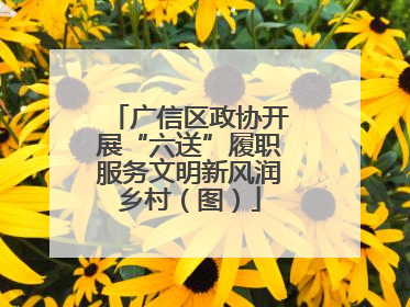 广信区政协开展“六送”履职服务文明新风润乡村（图）