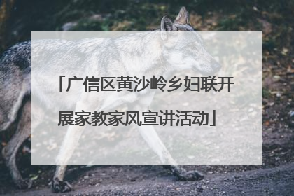 广信区黄沙岭乡妇联开展家教家风宣讲活动