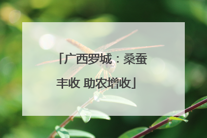 广西罗城：桑蚕丰收 助农增收