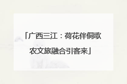 广西三江：荷花伴侗歌 农文旅融合引客来