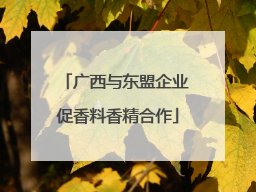 广西与东盟企业促香料香精合作