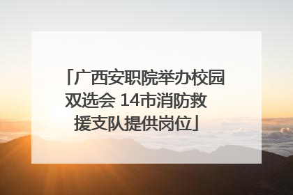 广西安职院举办校园双选会 14市消防救援支队提供岗位