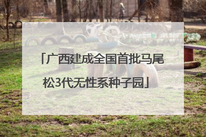 广西建成全国首批马尾松3代无性系种子园