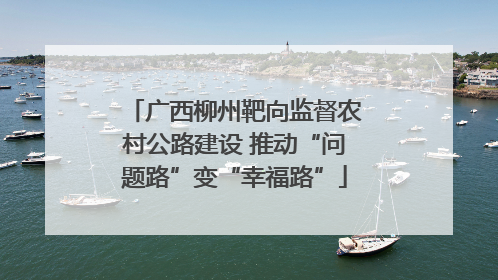广西柳州靶向监督农村公路建设 推动“问题路”变“幸福路”