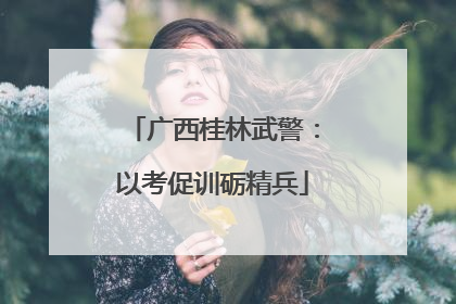 广西桂林武警：以考促训砺精兵