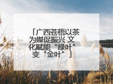 广西苍梧以茶为媒促振兴 文化赋能“绿叶”变“金叶”