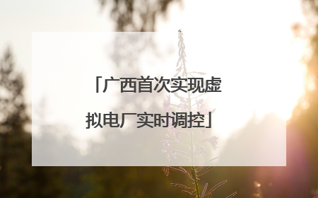 广西首次实现虚拟电厂实时调控