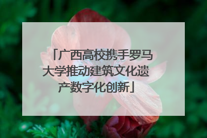 广西高校携手罗马大学推动建筑文化遗产数字化创新