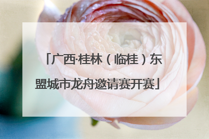 广西·桂林（临桂）东盟城市龙舟邀请赛开赛