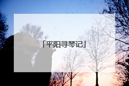 平阳寻琴记