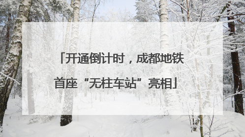 开通倒计时，成都地铁首座“无柱车站”亮相