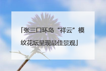 张三口环岛“祥云”模纹花坛呈现最佳景观