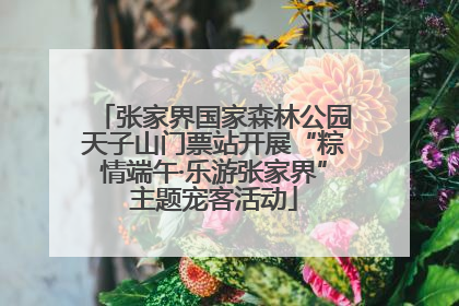 张家界国家森林公园天子山门票站开展“粽情端午·乐游张家界”主题宠客活动