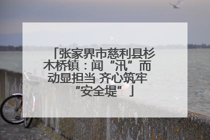 张家界市慈利县杉木桥镇：闻“汛”而动显担当 齐心筑牢“安全堤”