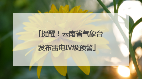 提醒！云南省气象台发布雷电Ⅳ级预警