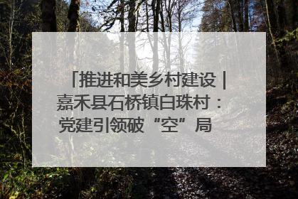 推进和美乡村建设｜嘉禾县石桥镇白珠村：党建引领破“空”局 乡贤聚力绘就新图景