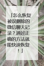 怎么恢复被误删除的微信聊天记录？通过正确的方法就能快速恢复！