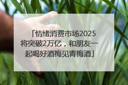 情绪消费市场2025将突破2万亿，和朋友一起喝好酒梅见青梅酒