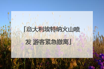 意大利埃特纳火山喷发 游客紧急撤离