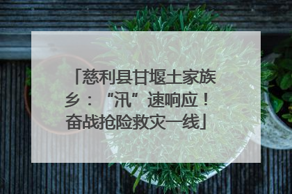 慈利县甘堰土家族乡：“汛”速响应！奋战抢险救灾一线