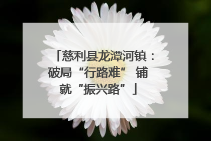 慈利县龙潭河镇：破局“行路难” 铺就“振兴路”