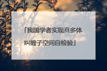 我国学者实现真多体纠缠子空间自检验